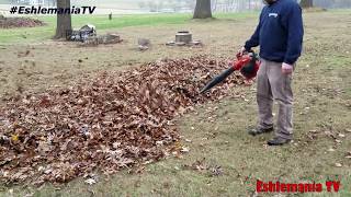 Leaf Blowers Which Type Will Work Best For You What Are The Differences [upl. by Salem]