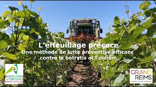 Effeuillage précoce de la vigne en Champagne  une technique éprouvée [upl. by Montford]