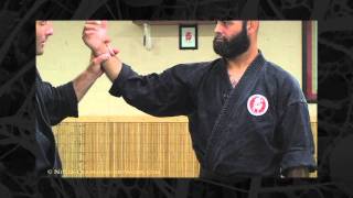 Kyusho Points  Bujinkan  Ninja Training Video Blog [upl. by Lamarre298]