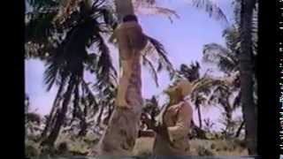 quotThe Cayquot 1974  FULL TV Movie HQ [upl. by Yesdnil]