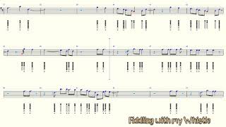 Fix You  Coldplay  Tin Whistle  Play Along Tab Tutorial [upl. by Tnecnivleahcim539]