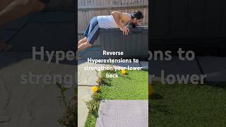 Reverse Hyperextensions for lower back strength [upl. by Lore]