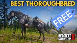 Get the best Thoroughbred FOR FREE  Red Dead Redemption 2 [upl. by Chipman309]