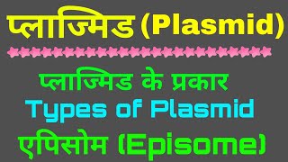 Plasmidप्लाज्मिड प्लाज्मिड के प्रकार  Types of Plasmid  एपिसोम  Episome  Biology class 12 [upl. by Cottrell]