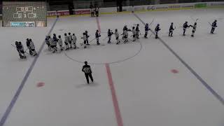 U17 Elit ZSC Lions  Fribourg Gotteron Young Dragons [upl. by Krystalle419]