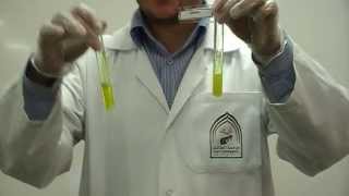 Picric Acids test Part 2 to differentiate between Gelatin amp peptone [upl. by Eentruoc]