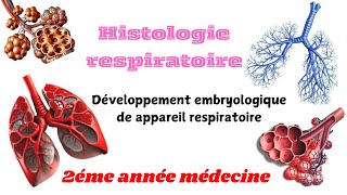 HISTOLOGIE RESPIRATOIRE  Dévlopement embryologique de appareil respiratoire 2éme année médecine [upl. by Concoff]