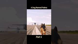 A Dog Named Palma part1 movie film touch [upl. by Ennovyhc977]