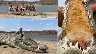 Monster Maneating crocodile Zambezi river Zimbabwe [upl. by Hewes]