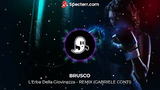 BRUSCO  LERBA DELLA GIOVINEZZA  REMIX GABRIELE CONTI [upl. by Brewster]