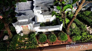 My Serissa and Chinese Village Penjing Show Prep Part 2 The Bonsai Zone Oct 2022 [upl. by Nnaira]