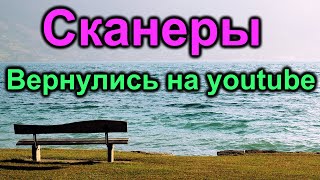 Сканеры Вернулись на youtube Жизнь в Америке Vlog [upl. by Nosnarb]