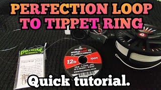 How to rig a stiff tippet to your FLY LINE to aid with turnover flyfishing fishing fullingmill [upl. by Idnek]