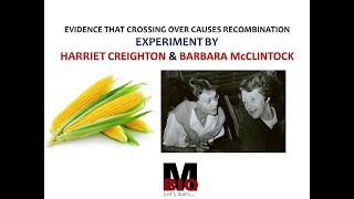 EXPERIMENT BY CREIGHTON AND McCLINTOCK [upl. by Helman]