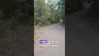 🌲 De Vuelta al Bosque Sendero Amplio con Vistas al Volcán Osorno 🌋 trekkingchile travel viajes [upl. by Anoid855]