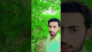 Nashpati tree ki video vlogviralshorts trending [upl. by Modeerf]