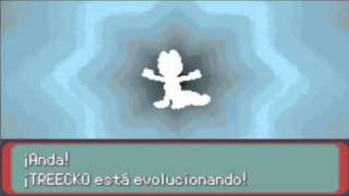 treecko evolution  evolucion de treecko al nivel 16 [upl. by Oremor571]