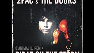 2PAC amp THE DOORS  RIDAZ ON THE STORM OANIMAL DJ REMIX [upl. by Osborn902]