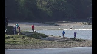 The Arnside Tidal Bore 19 Sept 2020 [upl. by Yelsnya]