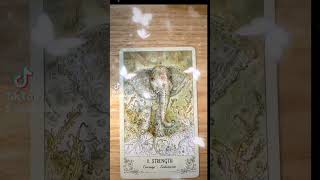 MajorMinor COTD wKnoxvilleRose🌹tarot intuitivereading occult divination qabalah treeoflife [upl. by Aihsilat]