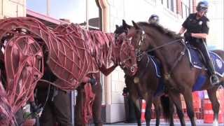 Joey of WarHorse meets Providence Mounted Command horses [upl. by Gerald]