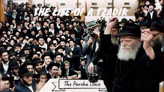 The life of a Tzadik [upl. by Fink134]