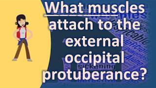 What muscles attach to the external occipital protuberance   Better Health Channel [upl. by Yerrot617]