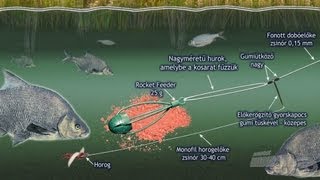 Döme praktikák 7 rész  Fogós feeder végszerelékeim II [upl. by Siocnarf]