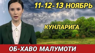 111213 НОЯБРЬ КУНЛАРИ УЧУН ОБ ХАВО МАЛУМОТИ ob havo [upl. by Atinuhs]