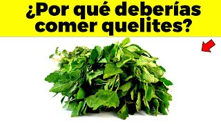 5 razones para comer quelites todos los días [upl. by Hiltan]