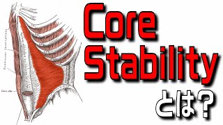 リハビリでよく重要視されるCore Stabilityに関する知識を解説します！【理学療法士×機能解剖学】 [upl. by Adnylam]