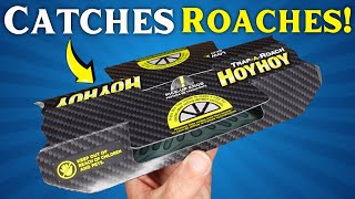 HOY HOY Trap A Roach HOW TO SET IT UP and ASSEMBLE Your Glue Trap [upl. by Naujad]