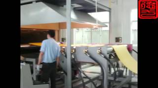 XPE machine crosslinked PE foam machine [upl. by Chemar]