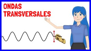 Las ONDAS TRANSVERSALES explicadas amplitud longitud cresta valle periodo frecuencia ejemplos [upl. by Eidnac37]