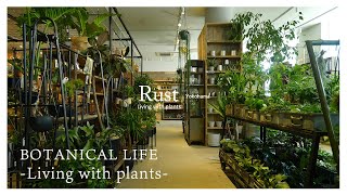 【観葉植物】洗練された「大人の園芸店」が横浜エリアに新オープン！｜Rust Yokohama｜神奈川｜横浜｜植物店巡り｜横浜ベイクォーター｜BAY QUARTER YOKOHAMA [upl. by Nimocks]