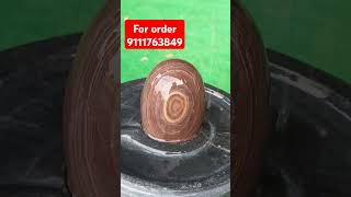 Janeudhari narmdeshwar shivling narmdeshwar shivling for Home 9111763849 [upl. by Rramed]