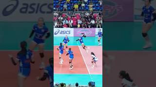 WHAT A PLAY BY ATENEO 💙 ateneo volleyball shakeyssuperleague haikyuu highlights [upl. by Kellda604]