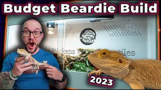 The Perfect Bearded Dragon Enclosure Setup for ANY Budget [upl. by Ima]