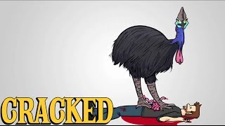 Why the Cassowary Is the Most Terrifying Animal Ever [upl. by Lassiter]