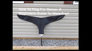 How to Flag For Geese A Beginners Guide to Waterfowl [upl. by Haisa]