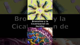 🍍 Bromelina y la Cicatrización de Heridas 🩹 [upl. by Catto]