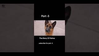 The Story Of Palma movie explain in nepali part 3 shorts sad viral imotional sadstory [upl. by Nudnarb12]