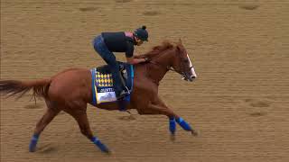 Justify trains  June 7 2018 [upl. by Annerb]