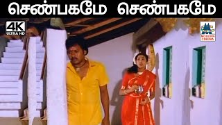 Shenbagame Shenbagame Song செண்பகமே செண்பகமே  இசைஞானி இசையில் ஆஷா போஸ்லே பாடிய பாடல் [upl. by Tolman]