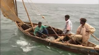 Fishing Adventures in Kenya Documentary [upl. by Enohpesrep]