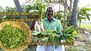 Mullangi Keerai Poriyal  Radish Greens Stir Fry  Radish Leaves Poriyal Recipe [upl. by Cleopatra]