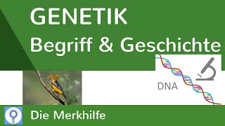 Was ist Genetik amp Geschichte der Genetik und Genetik heute  Genetik [upl. by Relyat]