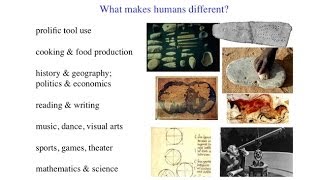 CARTA Mind Reading Human Origins and Theory of Mind What Makes Humans Different [upl. by Bodi]