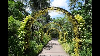 Arches and pergolas  Horticulture [upl. by Eniamrahc]