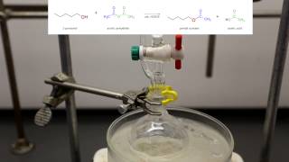 How to make Banana Mushroom Orange and Pear Flavoring Acetate Esters [upl. by Eliza]